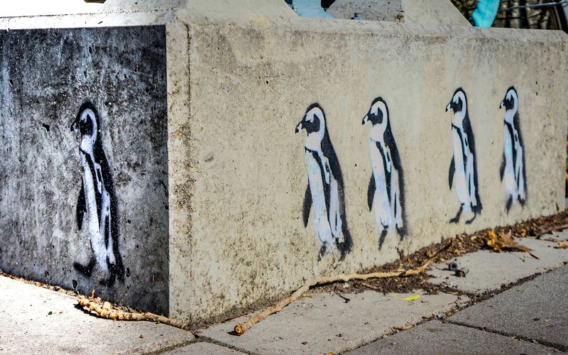 Penguins