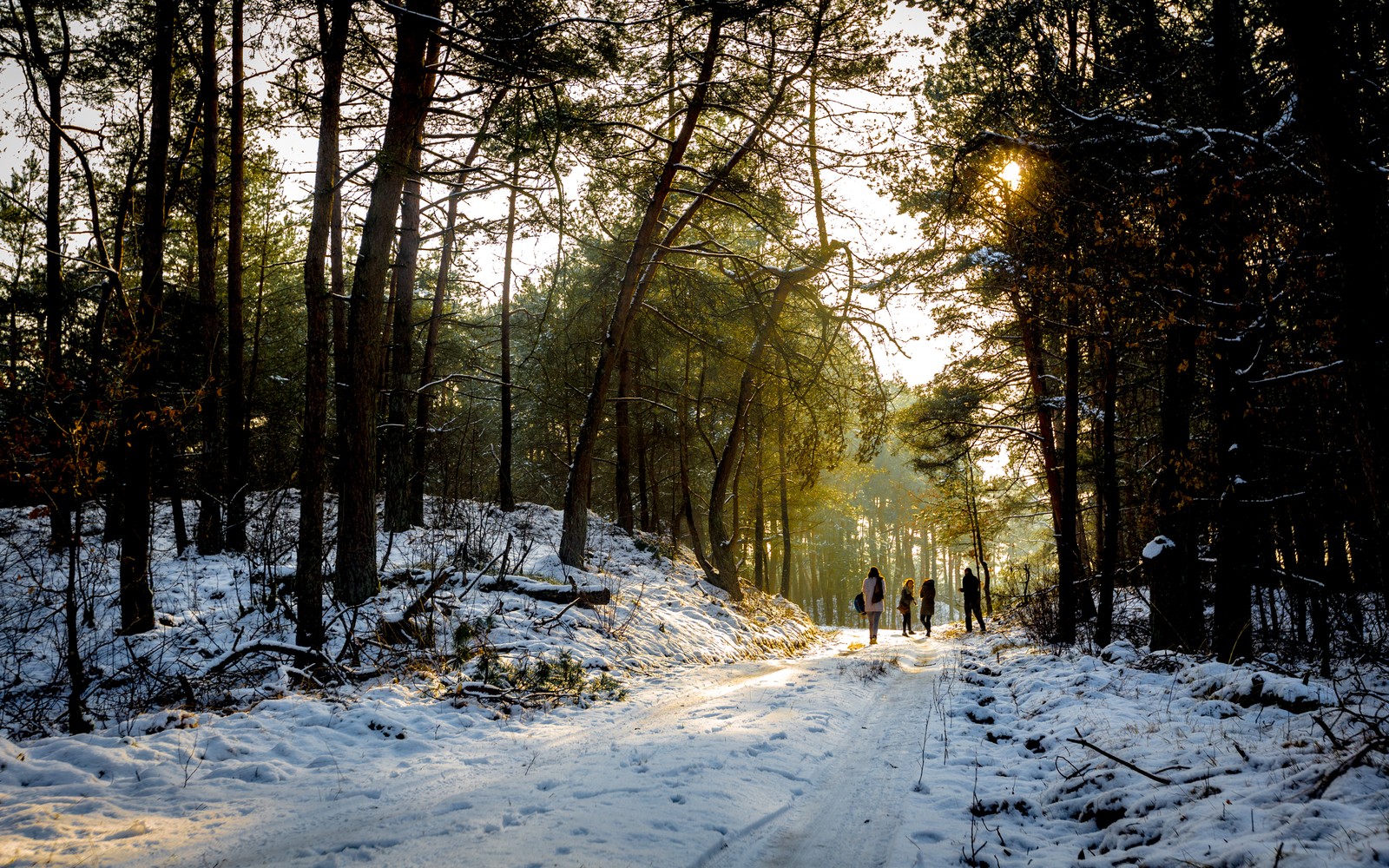 Veluwe