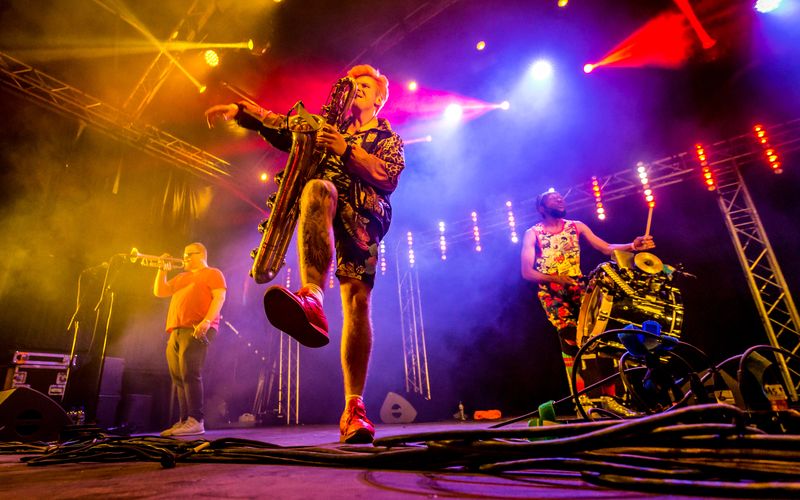 Too Many Zooz