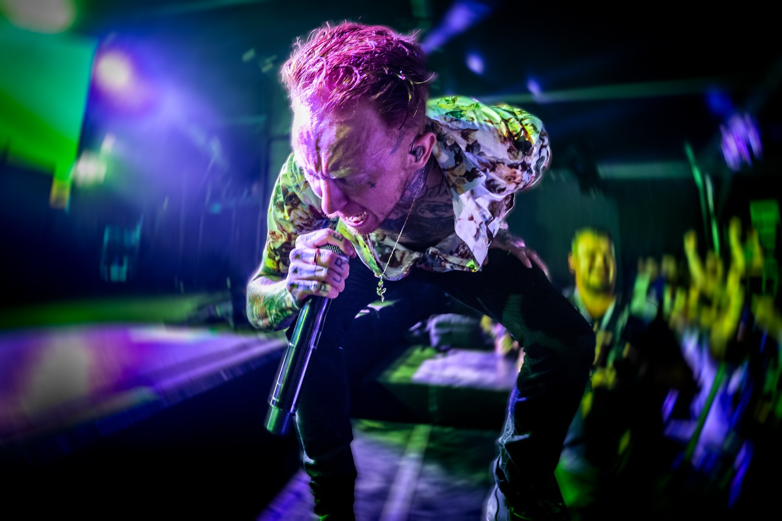 Frank Carter & The Rattlesnakes