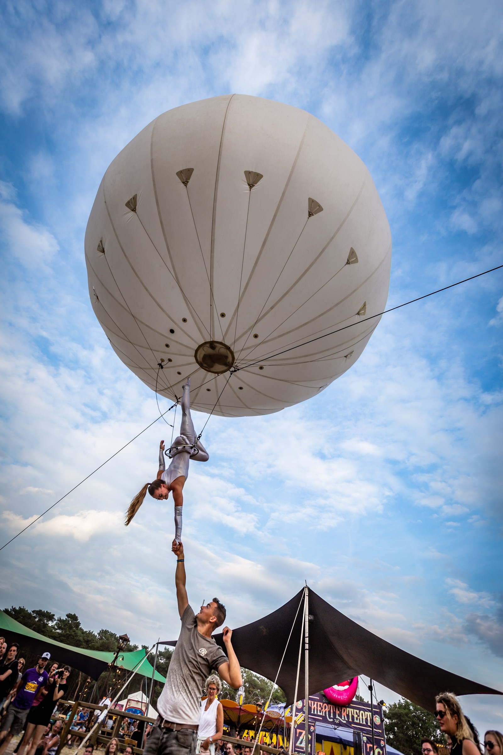 Theaterweide, Zwarte Cross