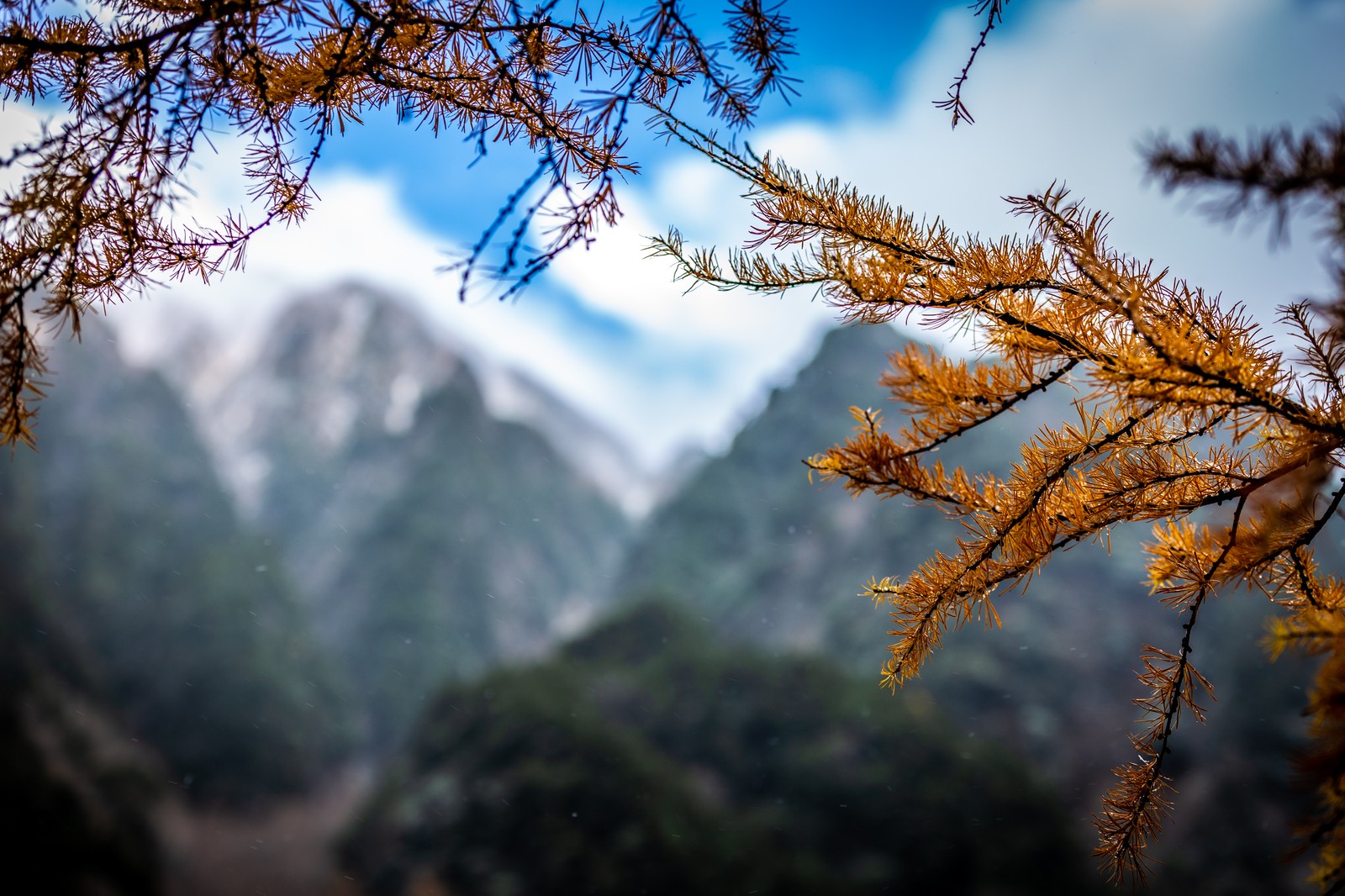 Kamikochi 上高地