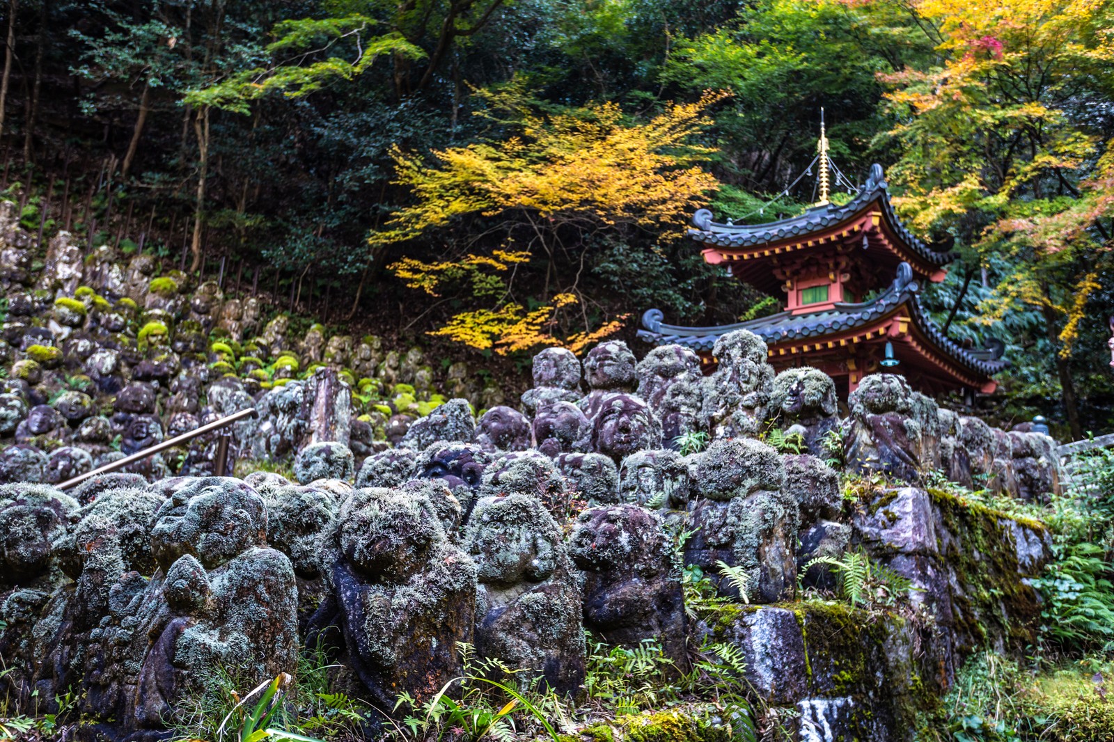 Otagi Nenbutsu-ji Temple 愛宕念仏寺