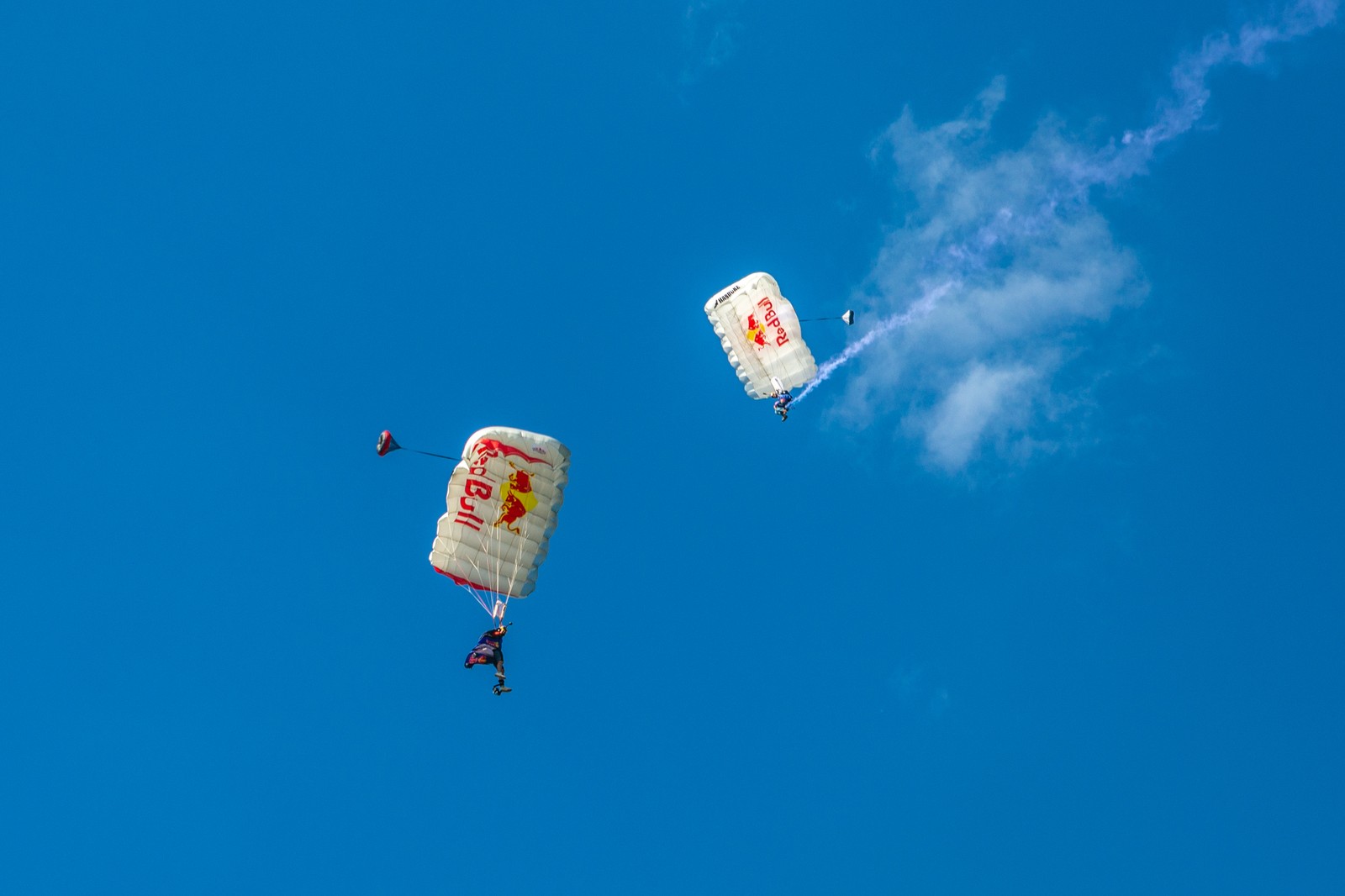 Red Bull Wing Suit