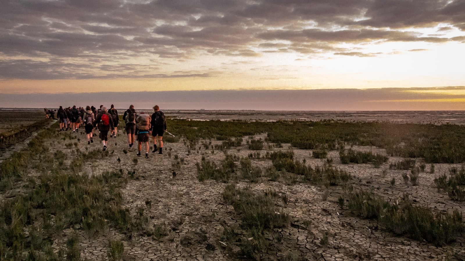 Wadlopen