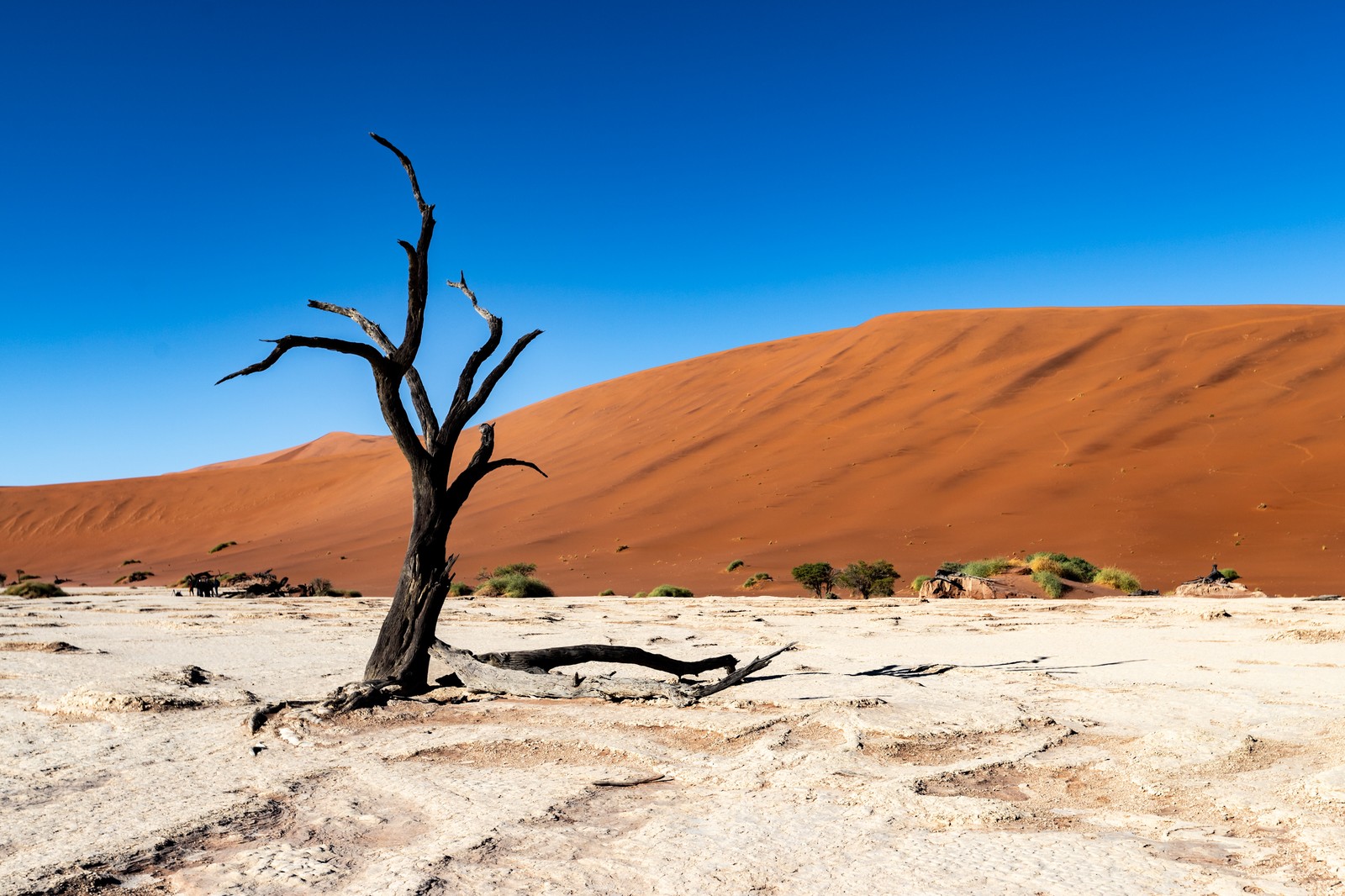 Namibia/Botswana [270]