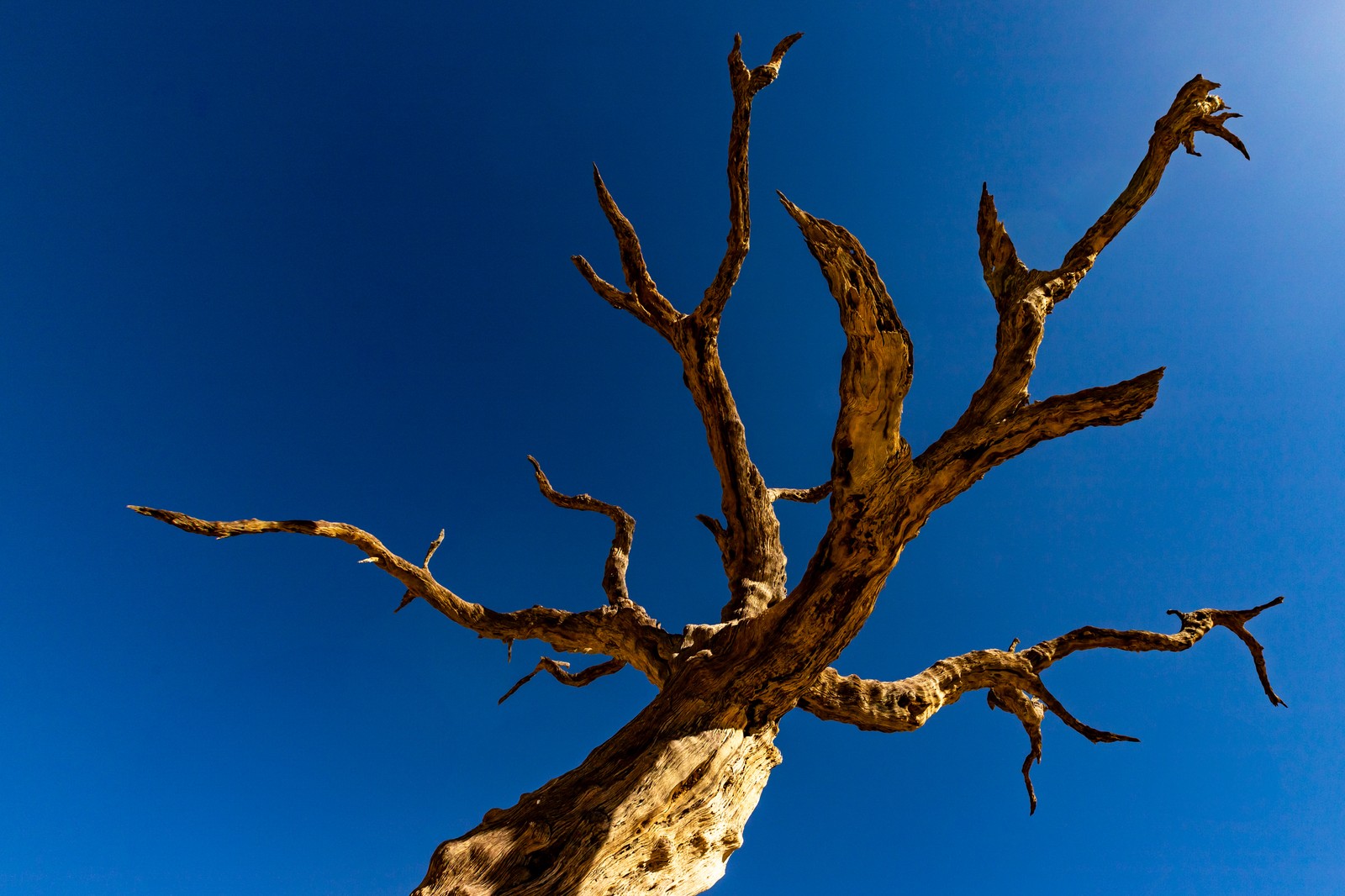 Deadvlei