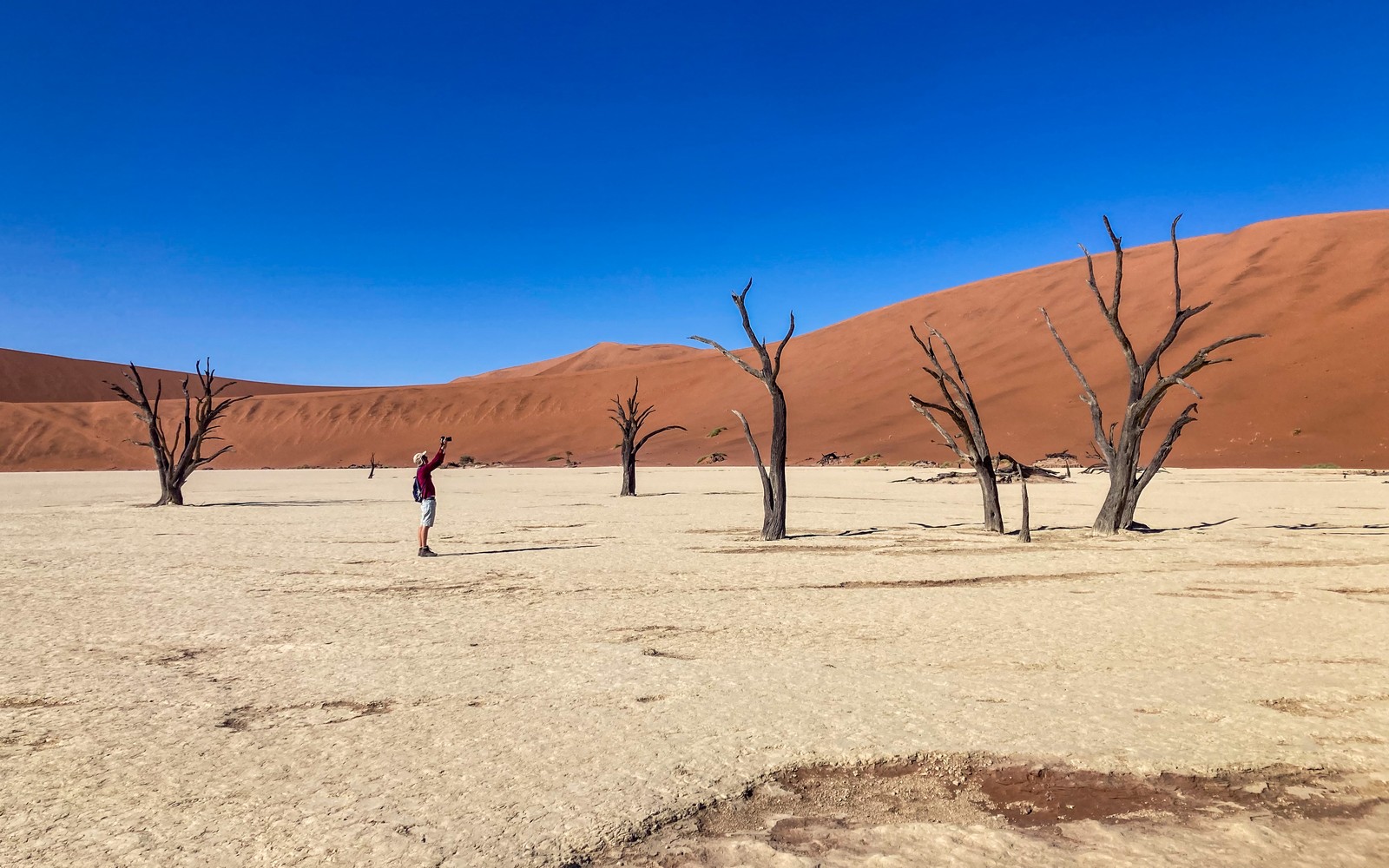 Deadvlei