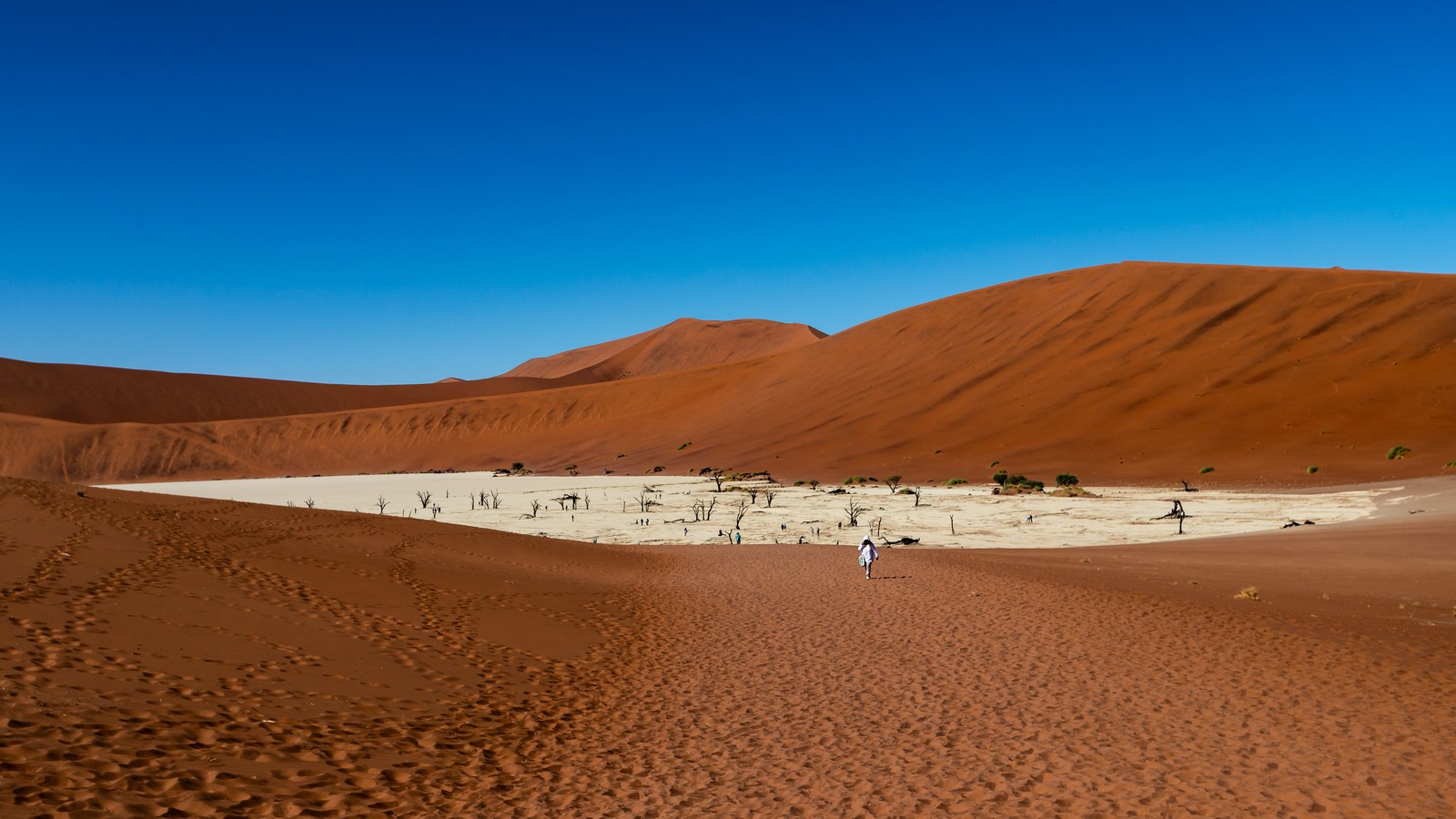 Deadvlei