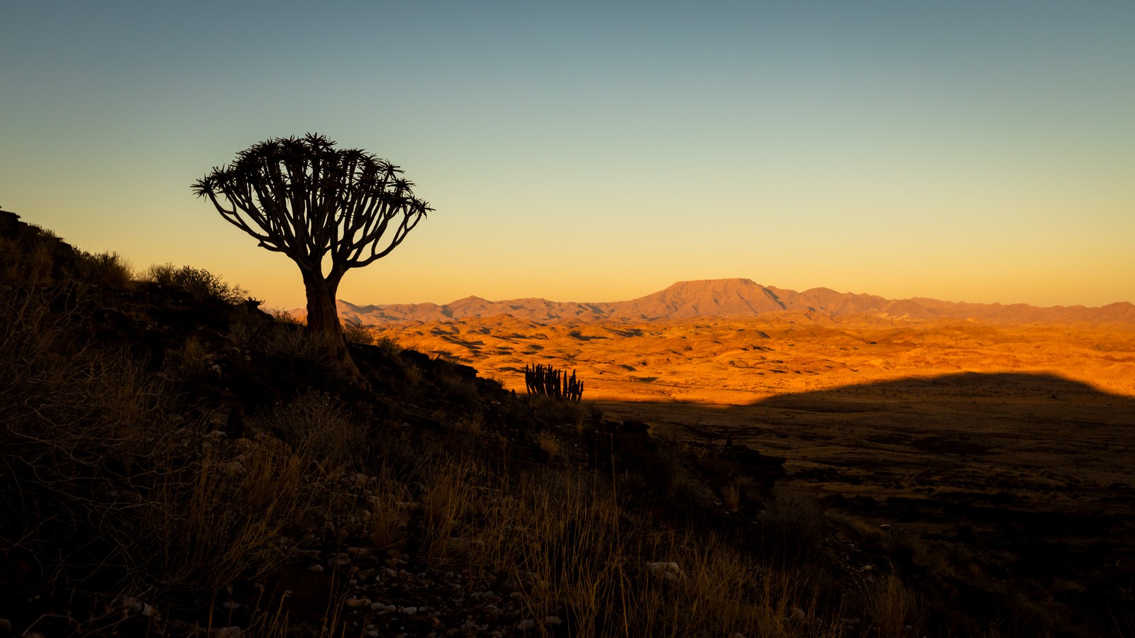 Namib's Valley