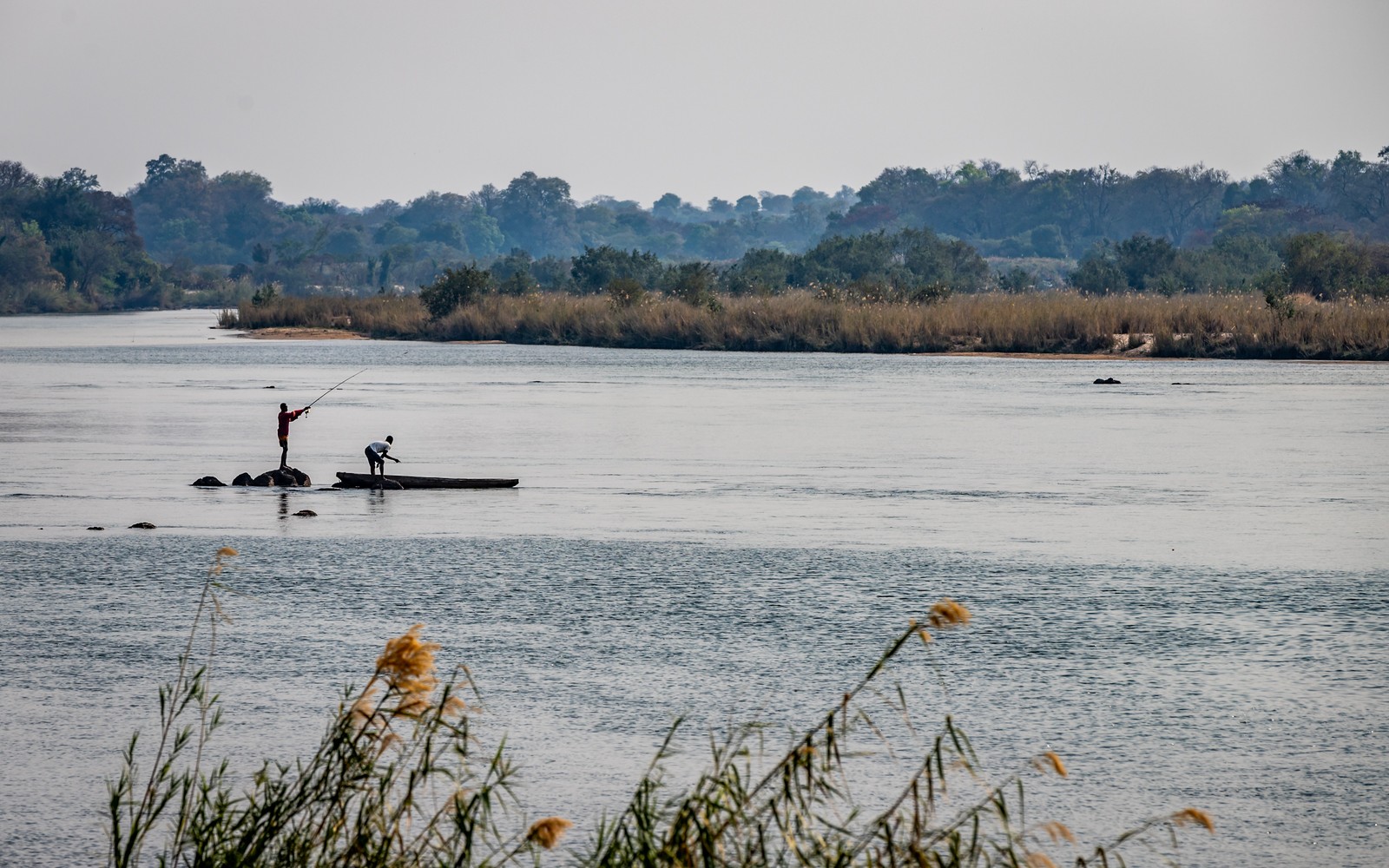 Okavango River