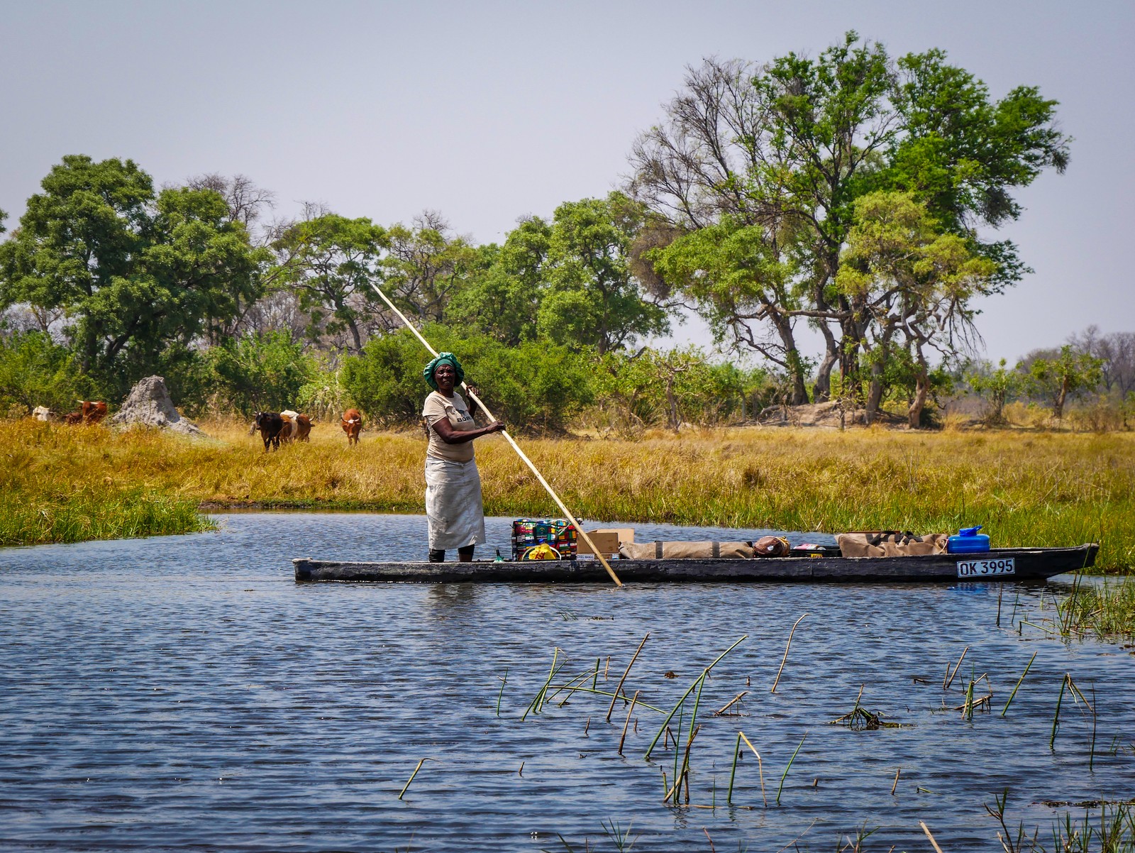 Okavango Delta