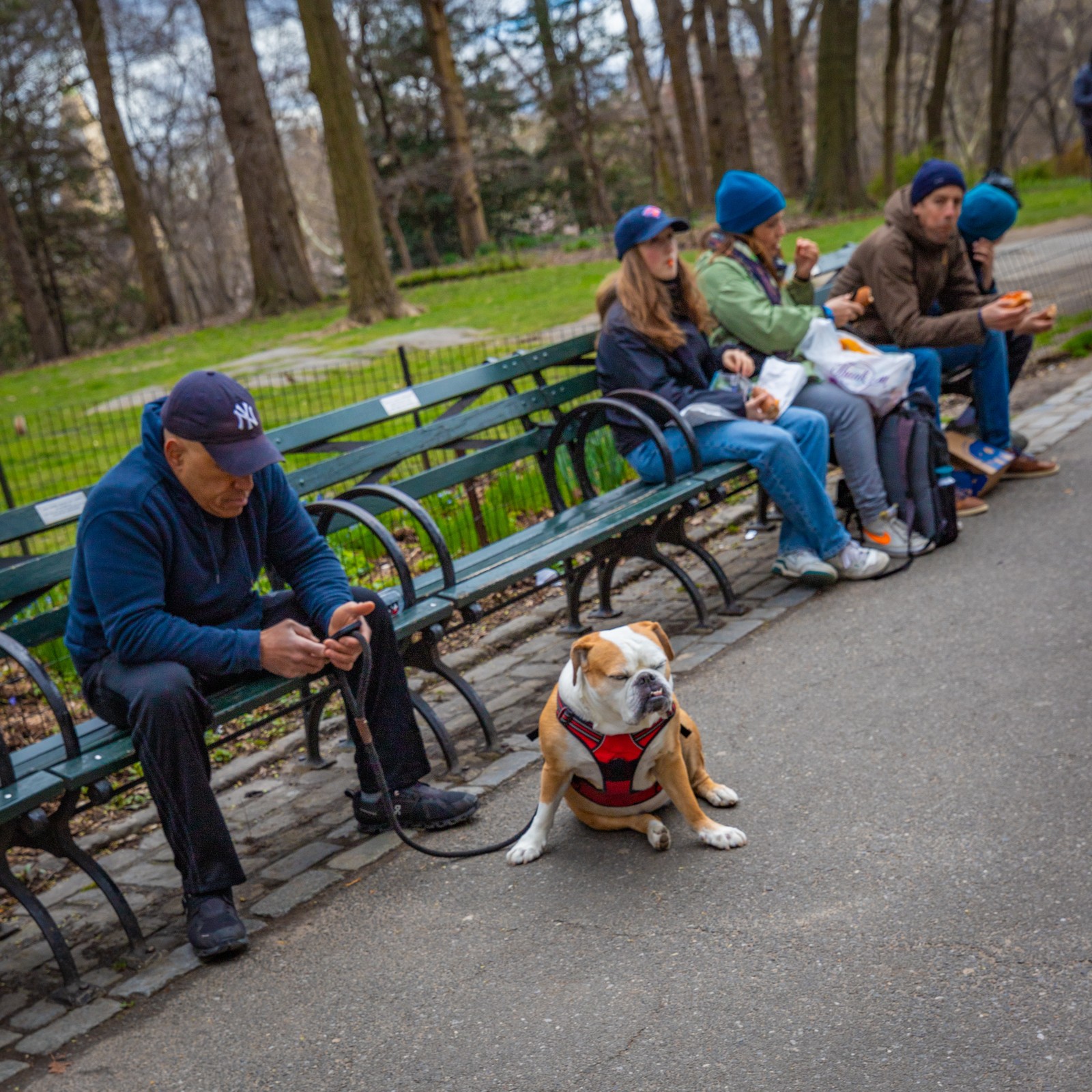 Central Park, NYC