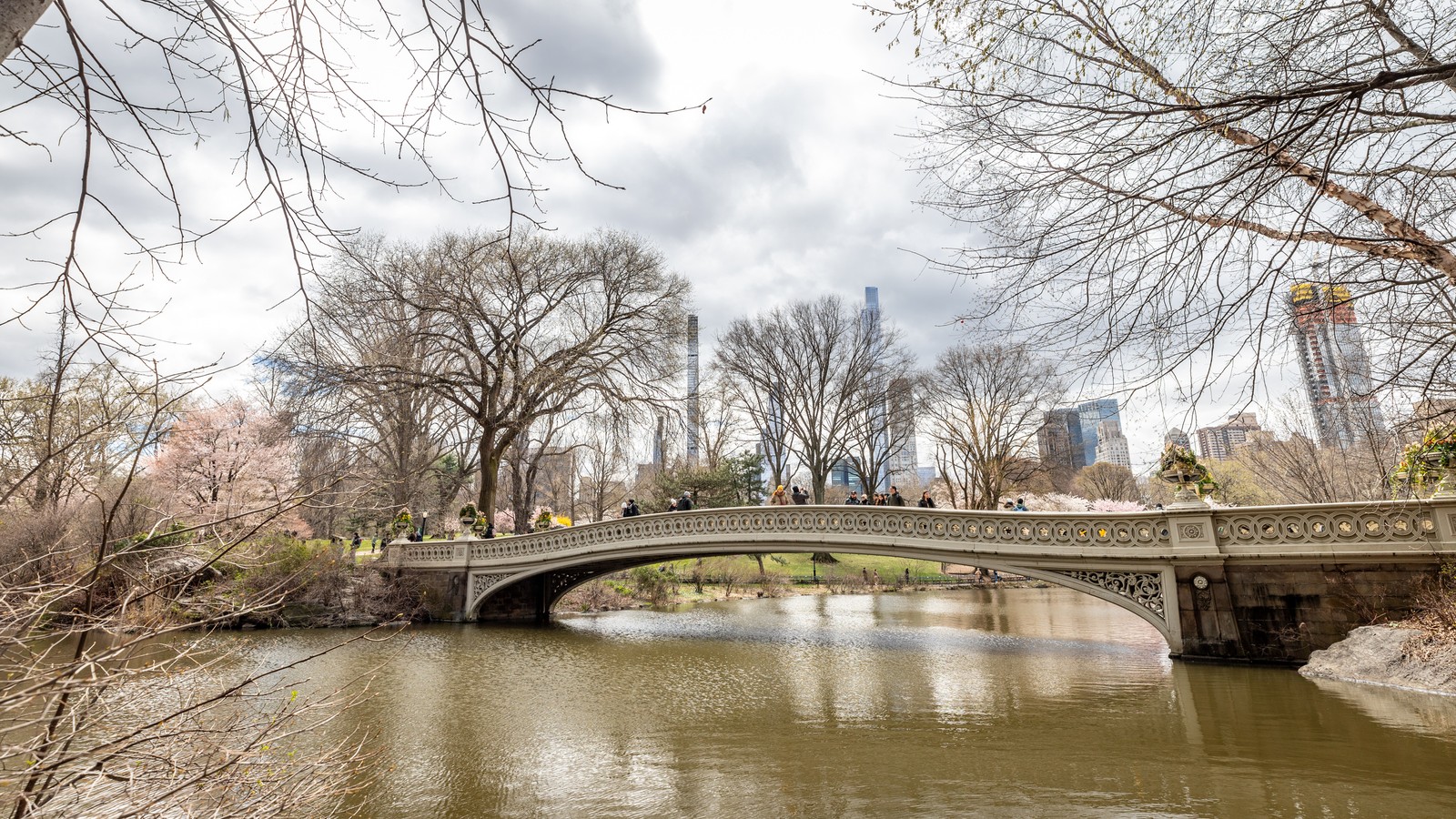 Central Park, NYC