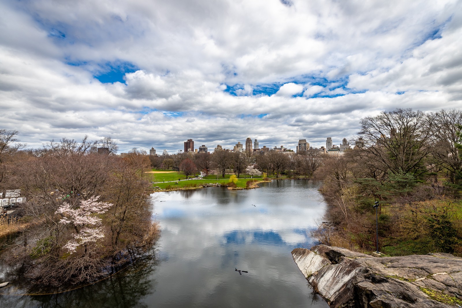 Central Park, NYC