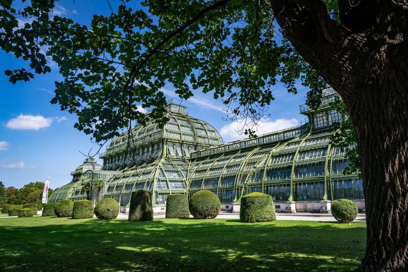 Palmhaus, Schönbrunn