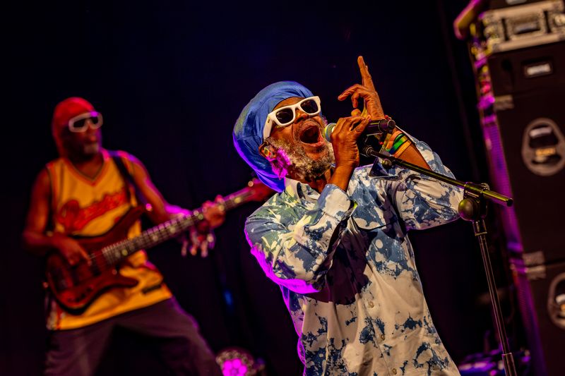Steel Pulse